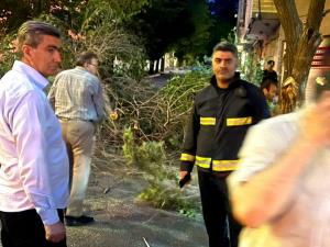 سقوط درخت در گلشهر،صدماتی نداشت 